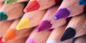 Color Palette